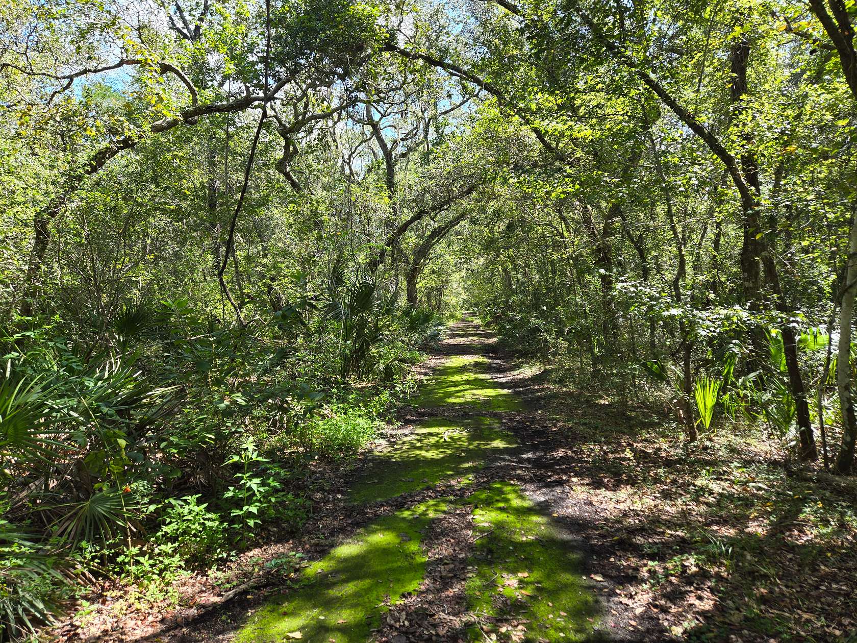 0.34 Acres of Land for Sale in Old Town, Florida