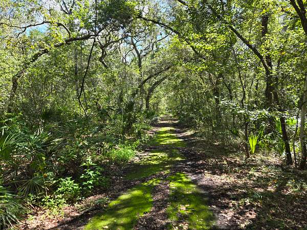 0.34 Acres of Land for Sale in Old Town, Florida