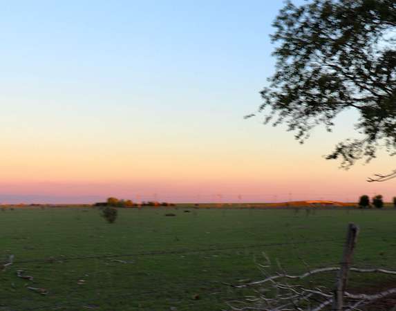 72 Acres of Agricultural Land for Sale in Adrian, Texas