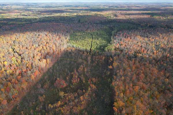 160 Acres of Land for Sale in Butternut, Wisconsin