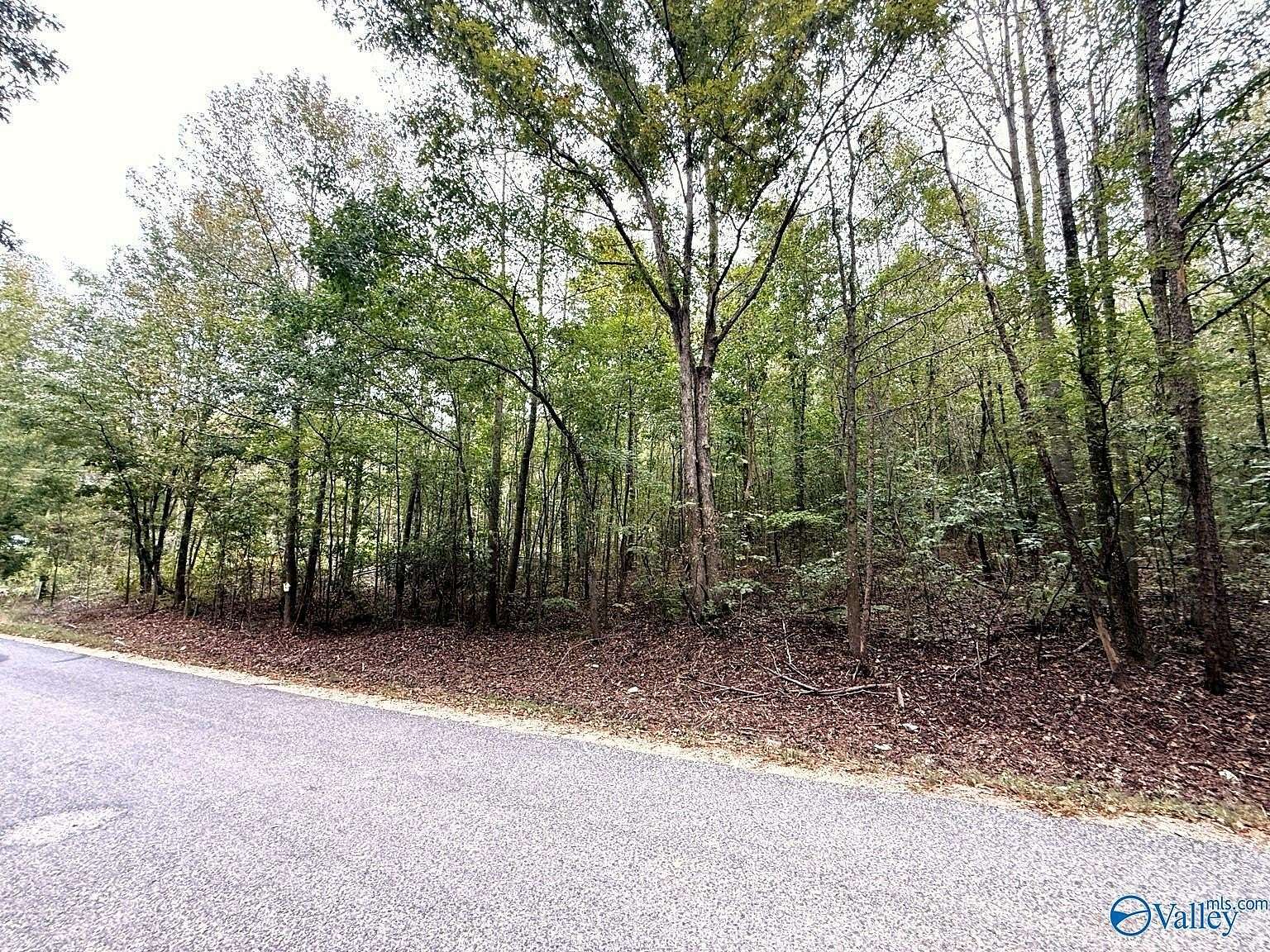 5.1 Acres of Agricultural Land for Sale in Attalla, Alabama