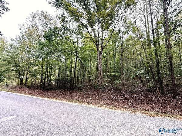 5.1 Acres of Agricultural Land for Sale in Attalla, Alabama