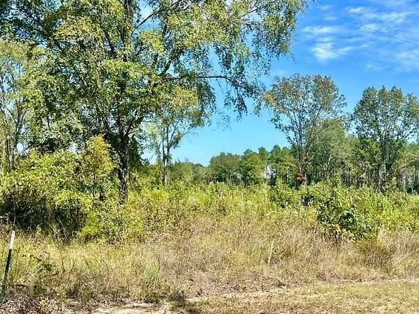 8 Acres of Land for Sale in Atlanta, Texas