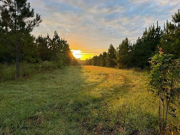 113 Acres of Recreational Land for Sale in Livingston, Texas