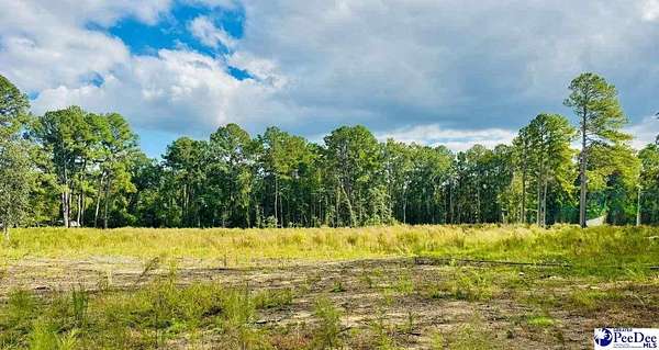 2 Acres of Residential Land for Sale in Cheraw, South Carolina