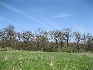 0.99 Acres of Residential Land for Sale in Millbrook, Illinois