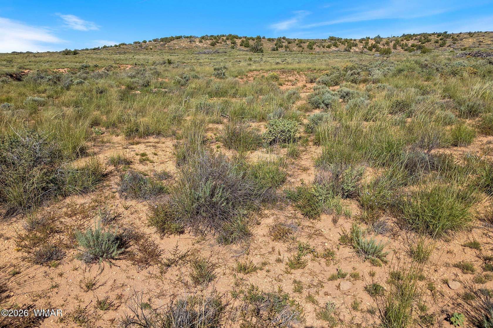 320 Acres of Land for Sale in Snowflake, Arizona