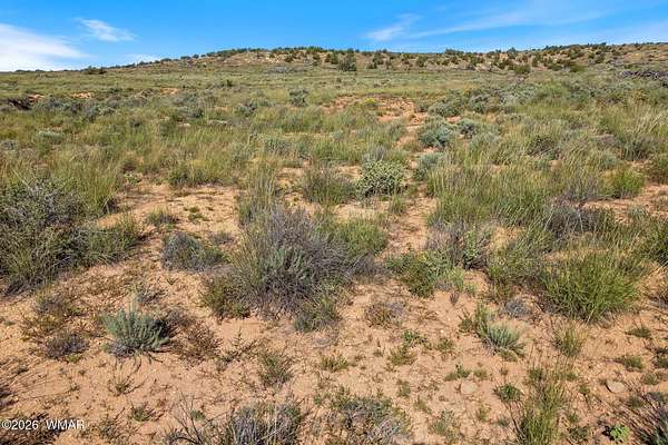 320 Acres of Land for Sale in Snowflake, Arizona