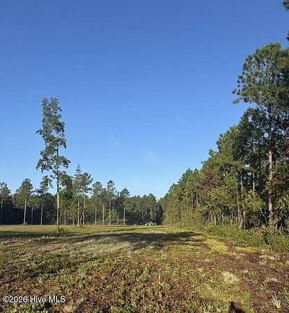 31.8 Acres of Land for Sale in Grantsboro, North Carolina