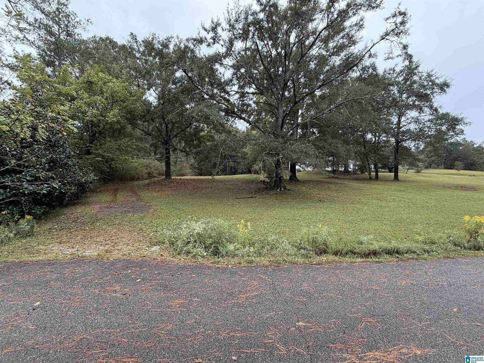 1 Acre of Residential Land for Sale in Sylacauga, Alabama