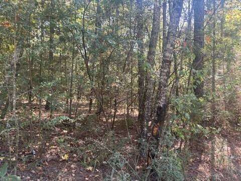 0.75 Acres of Residential Land for Sale in Many, Louisiana