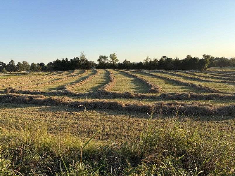 9 Acres of Residential Land for Sale in Dardanelle, Arkansas