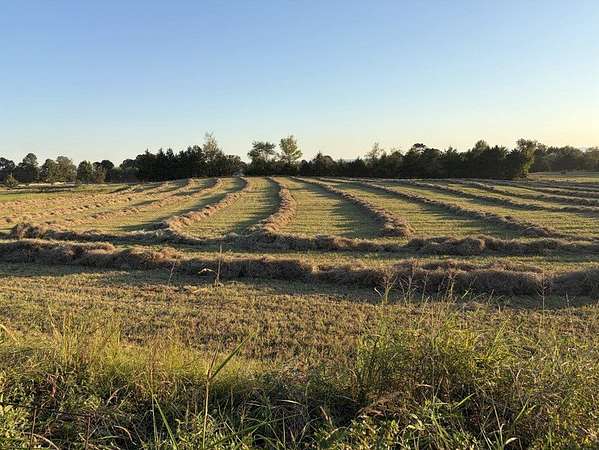 9 Acres of Residential Land for Sale in Dardanelle, Arkansas