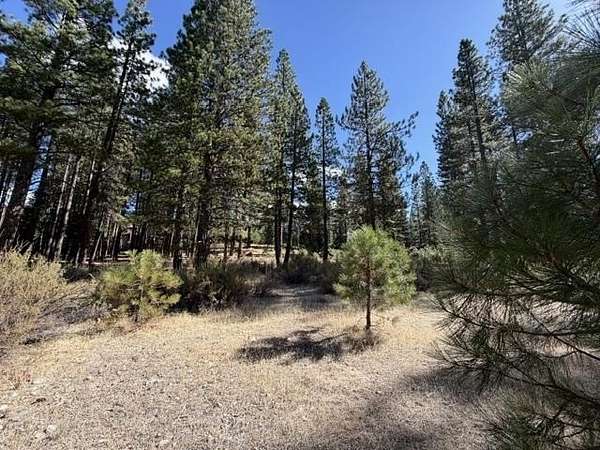 0.69 Acres of Residential Land for Sale in Clio, California