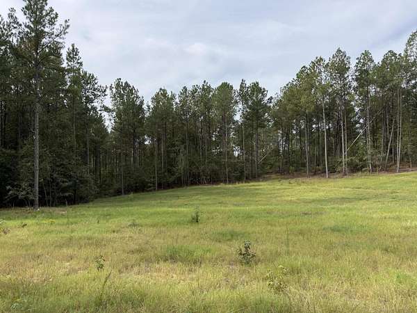 7 Acres of Residential Land for Sale in Wagener, South Carolina