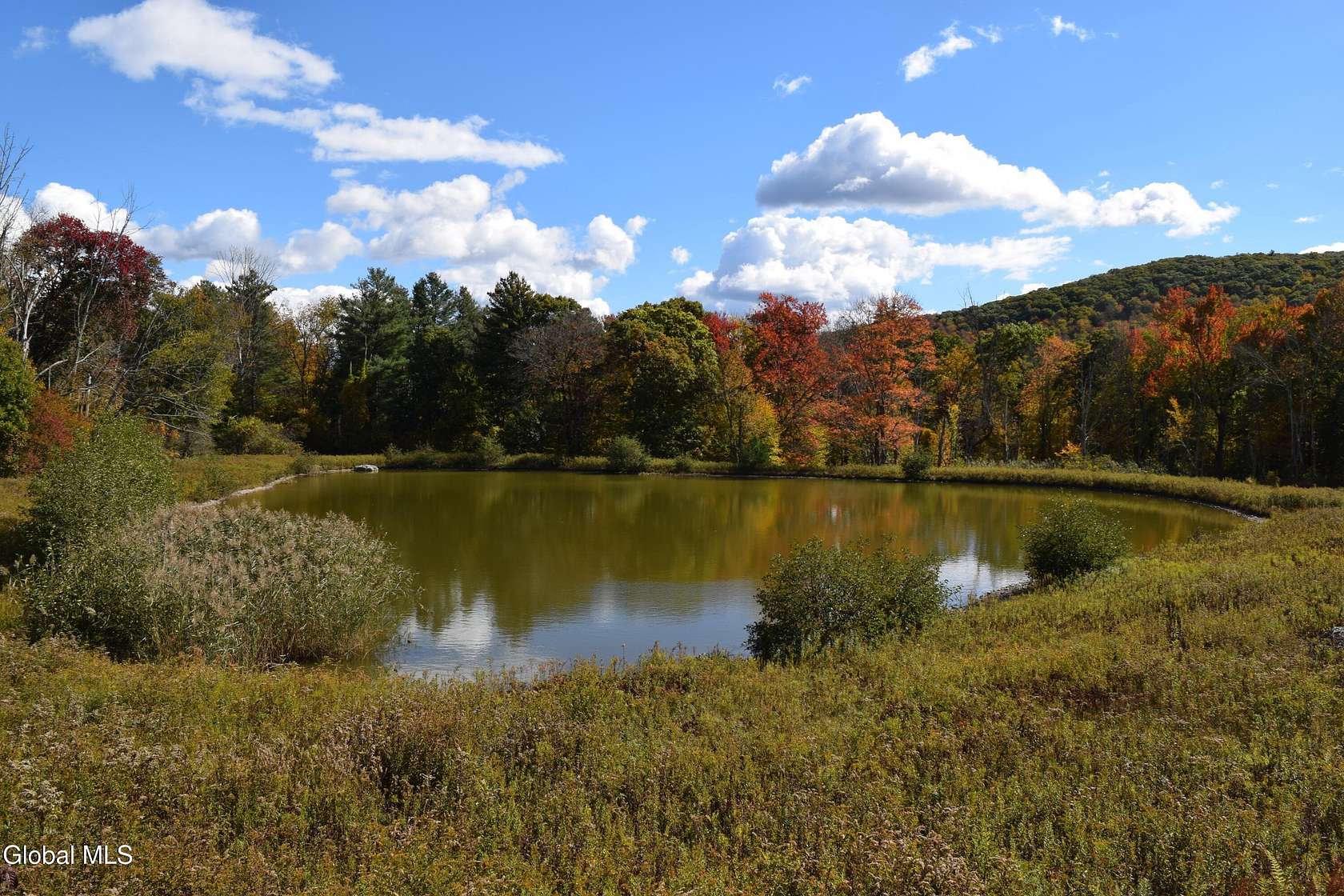 15.8 Acres of Land for Sale in Hillsdale, New York