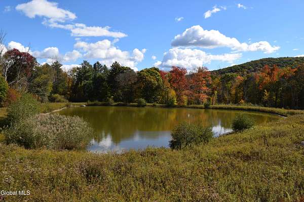 15.8 Acres of Land for Sale in Hillsdale, New York