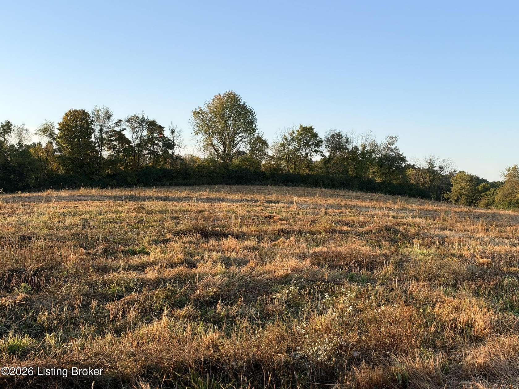17 Acres of Land for Sale in Shelbyville, Kentucky