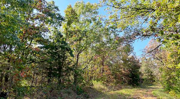 2.8 Acres of Residential Land for Sale in Edwards, Missouri