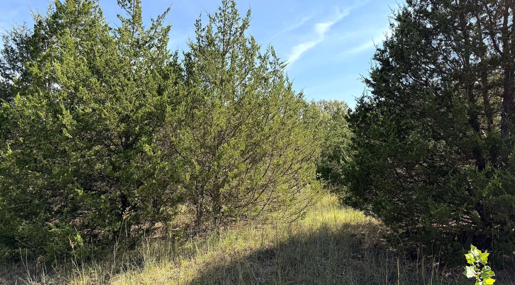 2.7 Acres of Residential Land for Sale in Edwards, Missouri