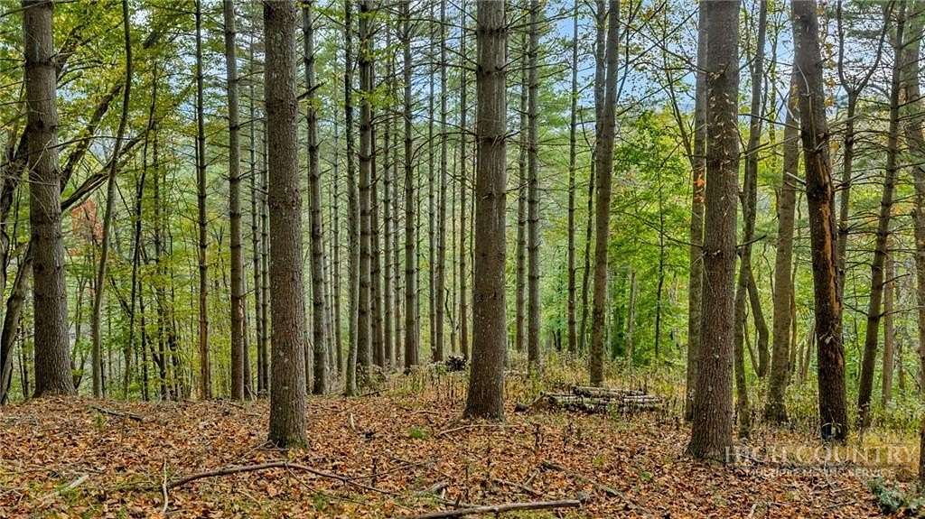 4.19 Acres of Land for Sale in Lansing, North Carolina