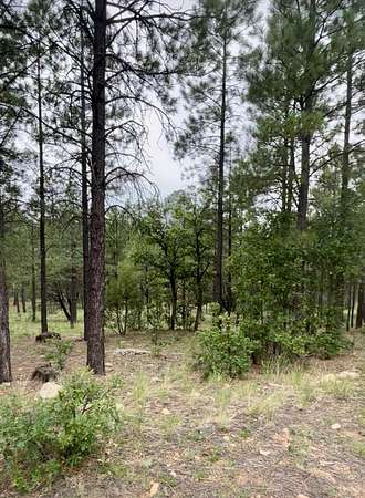 1 Acre of Land for Sale in Happy Jack, Arizona