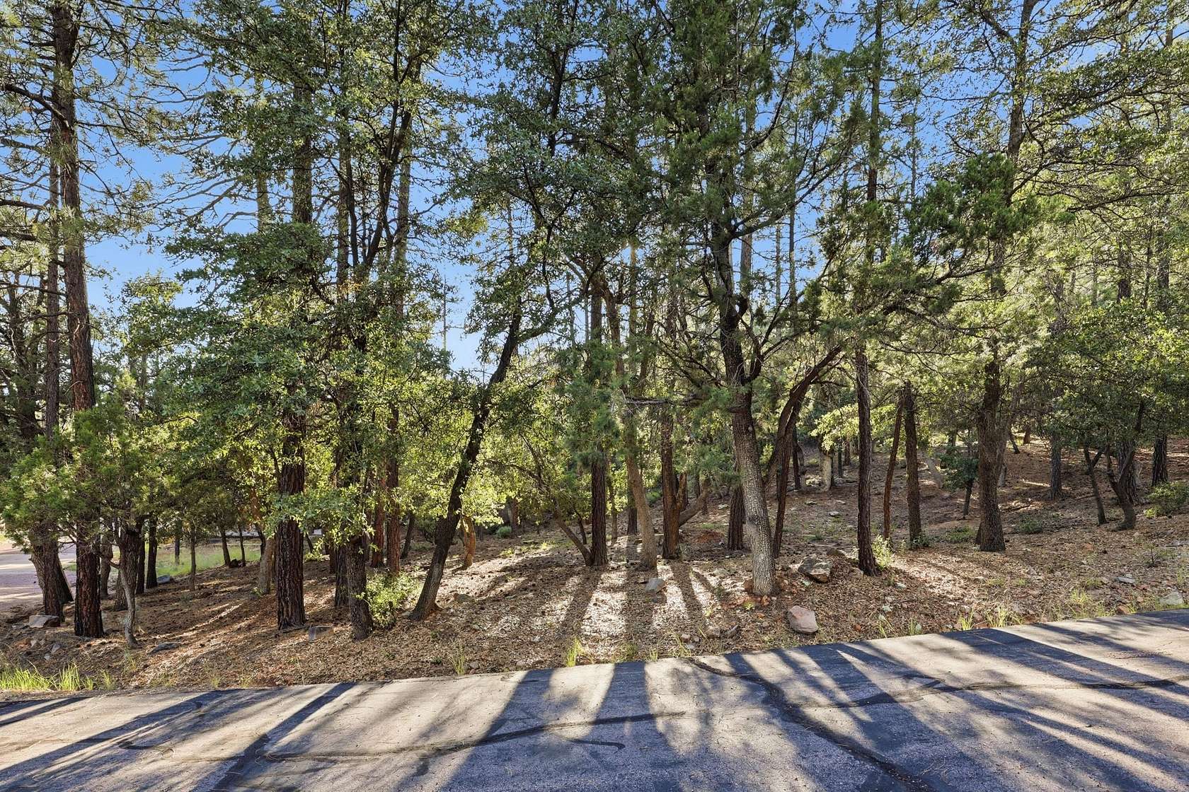 0.31 Acres of Residential Land for Sale in Pine, Arizona