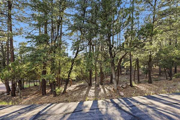 0.31 Acres of Residential Land for Sale in Pine, Arizona