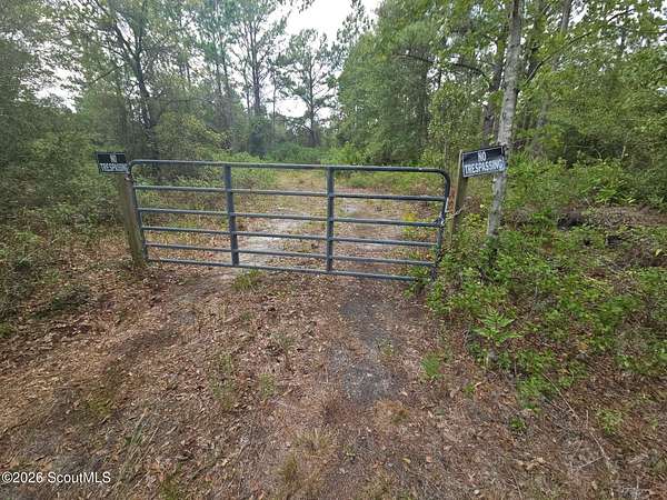 8.82 Acres of Residential Land for Sale in Waverly, Georgia