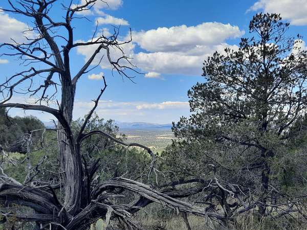 42.6 Acres of Land for Sale in Seligman, Arizona