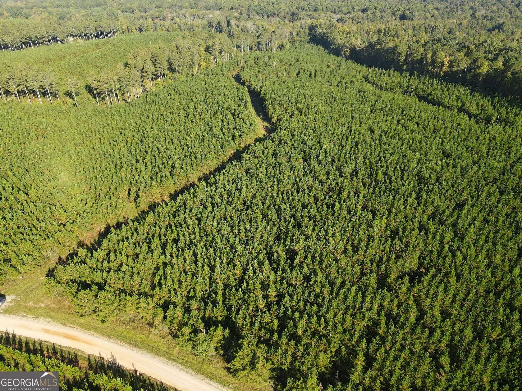 24.4 Acres of Recreational & Residential Land for Sale in Eatonton, Georgia