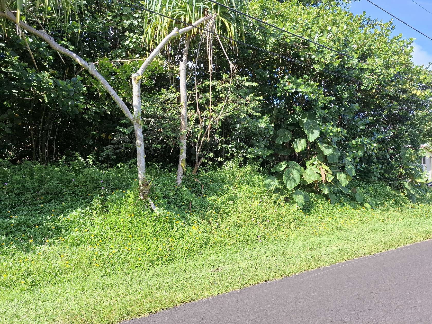 0.28 Acres of Land for Sale in Pahoa, Hawaii