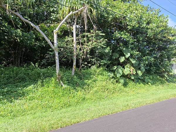 0.28 Acres of Land for Sale in Pahoa, Hawaii