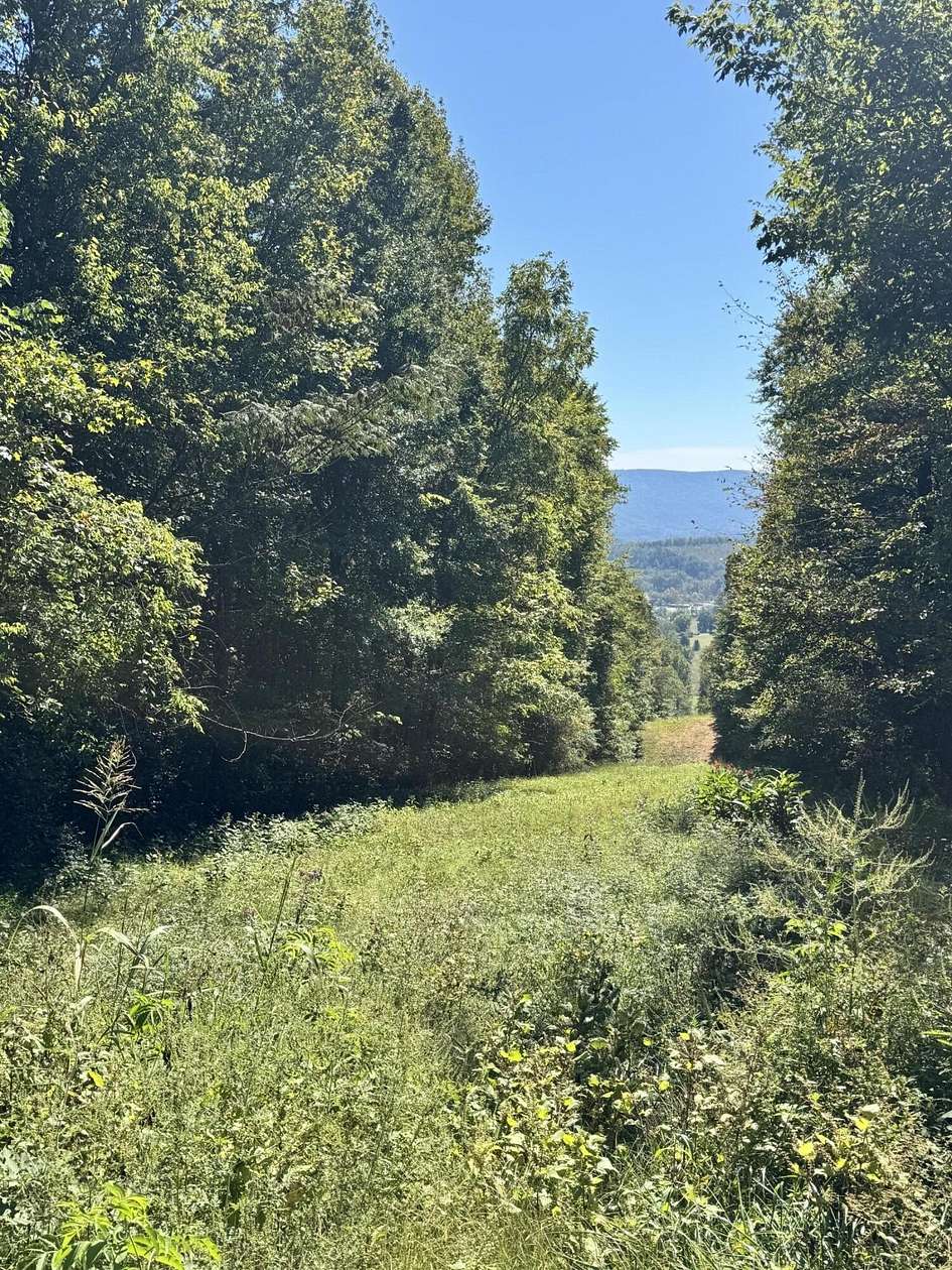 3.2 Acres of Residential Land for Sale in Whitwell, Tennessee