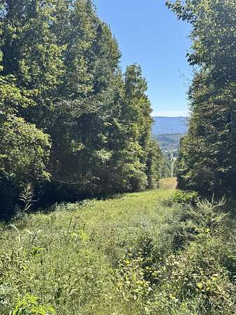 3.2 Acres of Residential Land for Sale in Whitwell, Tennessee