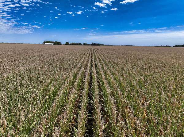 75 Acres of Land for Auction in Pocahontas, Iowa