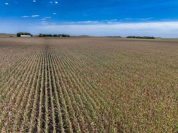 75 Acres of Land for Auction in Pocahontas, Iowa