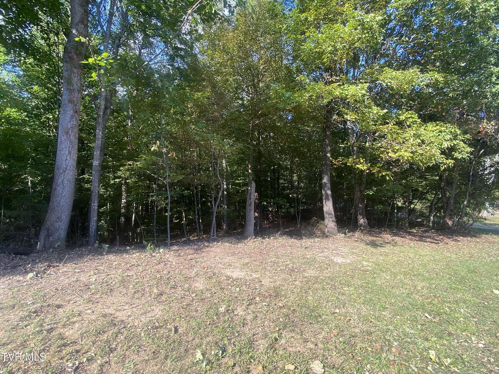 1 Acre of Residential Land for Sale in Piney Flats, Tennessee