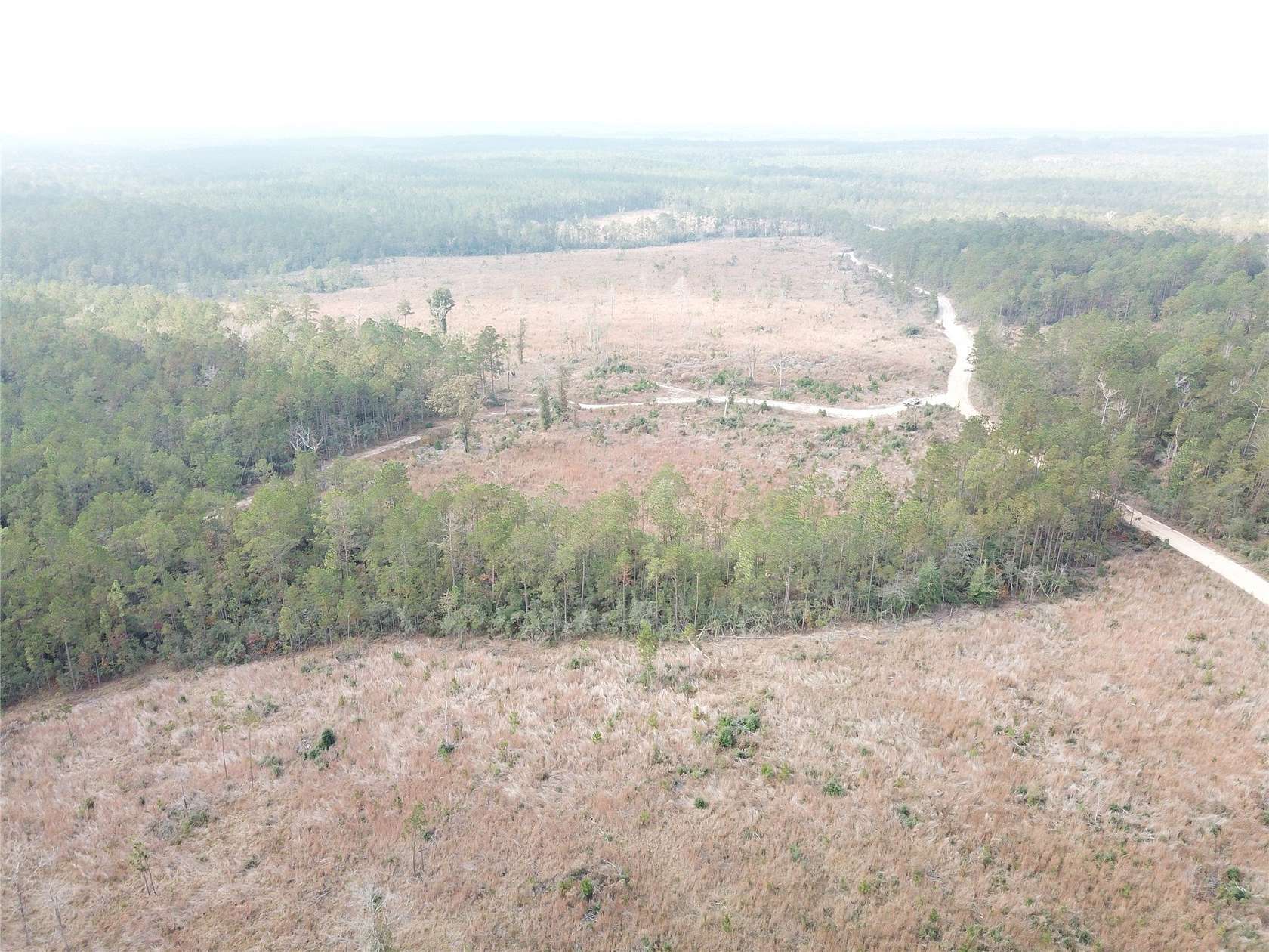 150 Acres of Recreational Land for Sale in Colmesneil, Texas