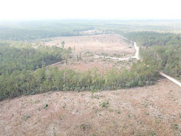 150 Acres of Recreational Land for Sale in Colmesneil, Texas