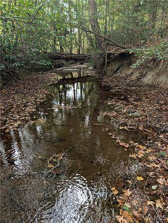 93.7 Acres of Recreational Land for Sale in Bankston, Alabama