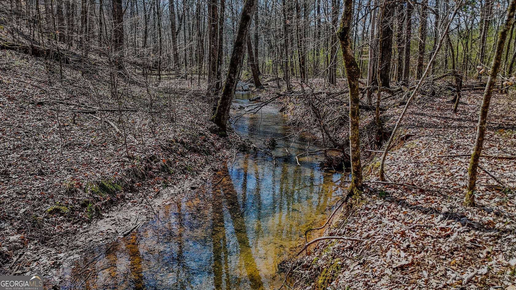 34 Acres of Land for Sale in Rome, Georgia