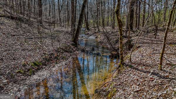 34 Acres of Land for Sale in Rome, Georgia