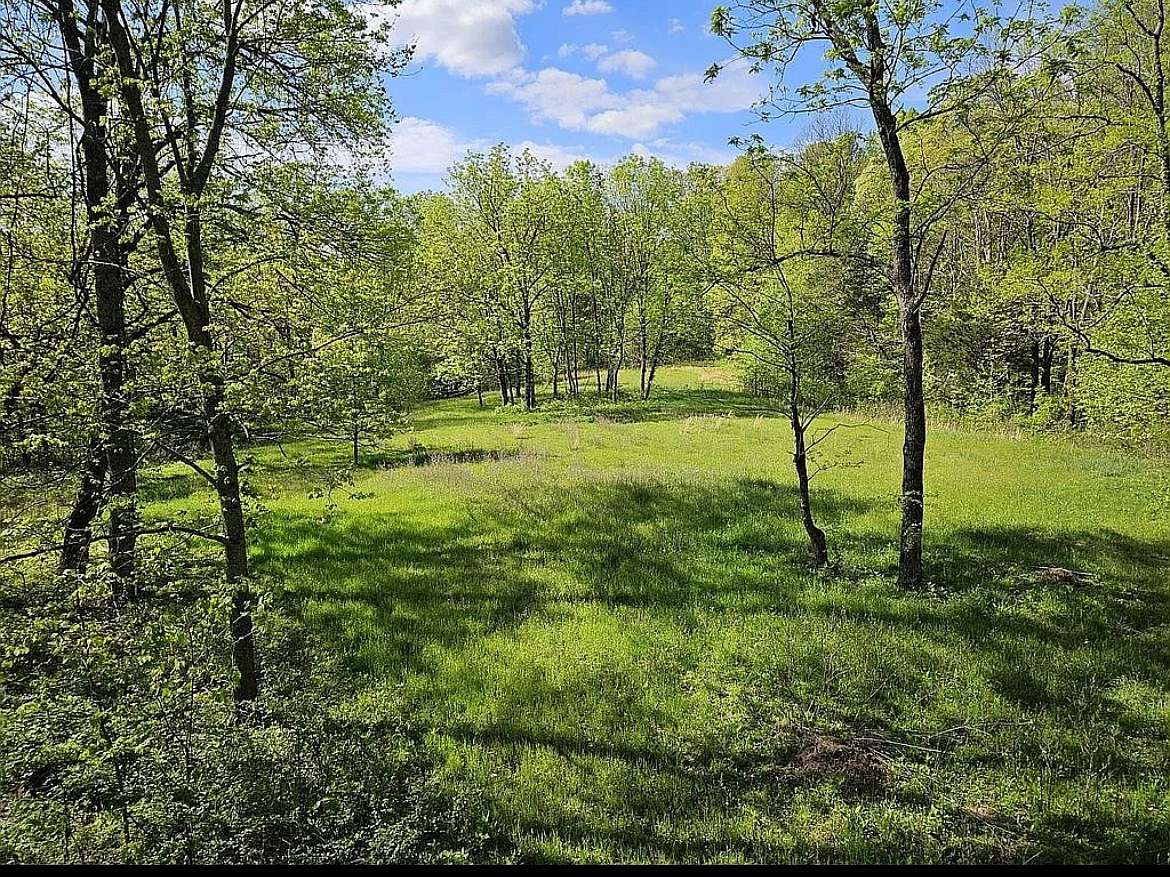 66 Acres of Land for Sale in Bethpage, Tennessee