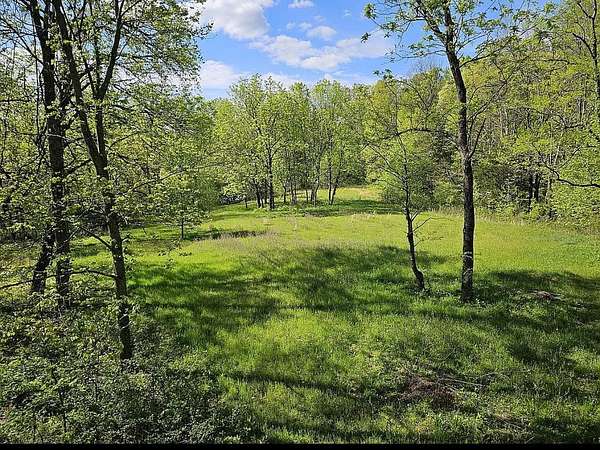 66 Acres of Land for Sale in Bethpage, Tennessee