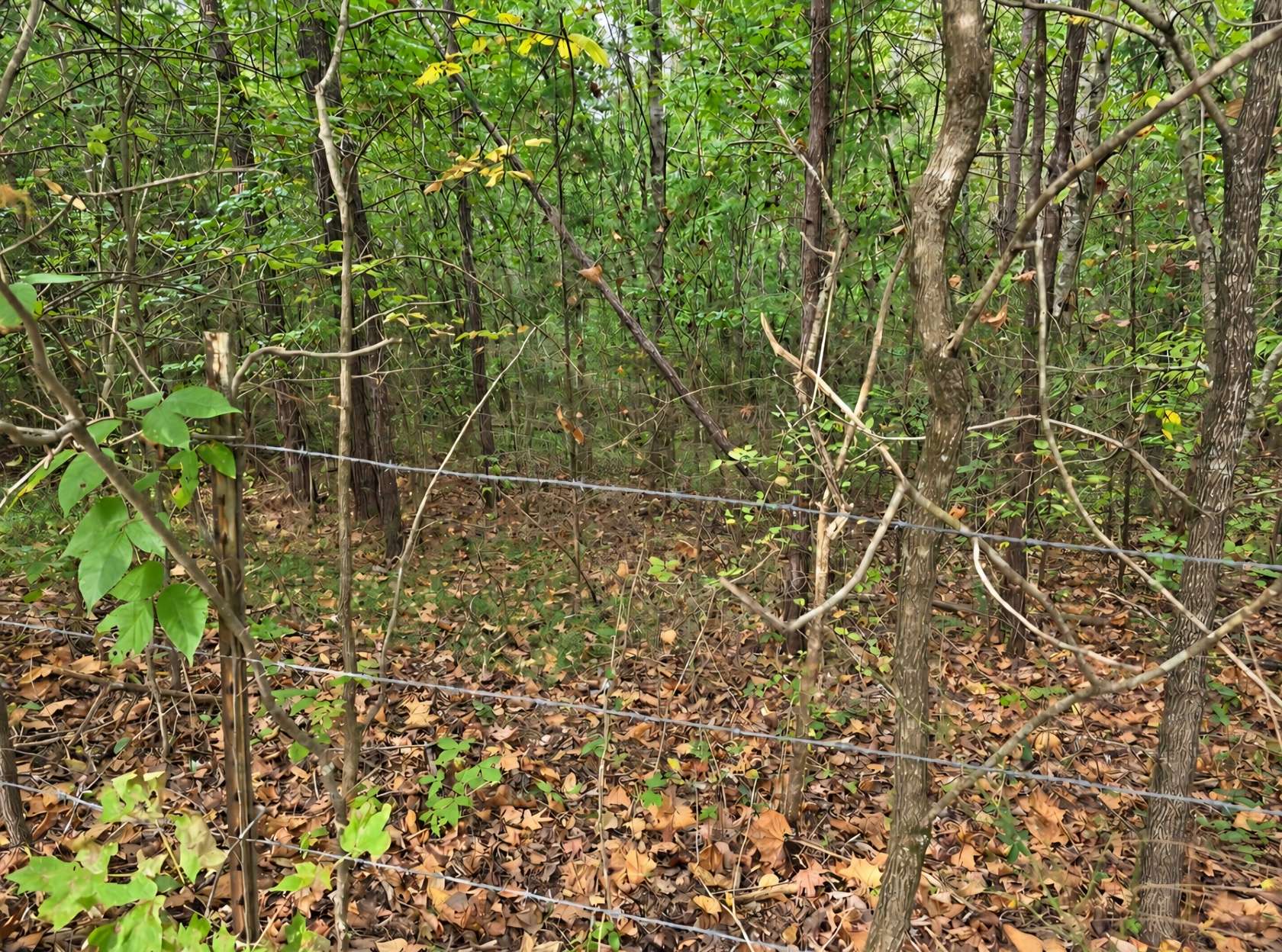 6.4 Acres of Recreational Land for Sale in Smithville, Tennessee