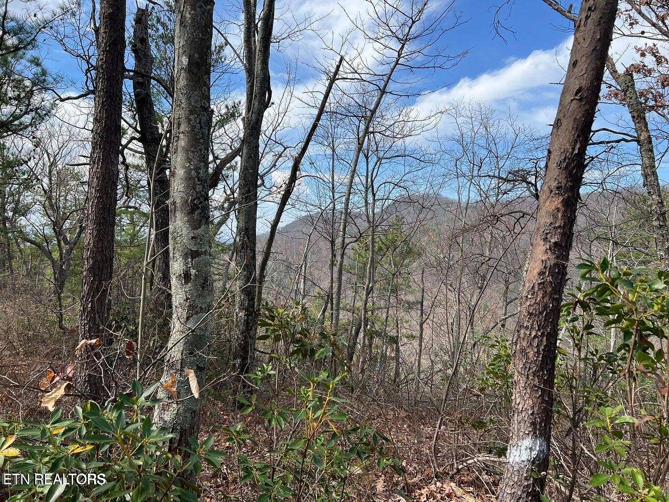 0.82 Acres of Residential Land for Sale in Sevierville, Tennessee