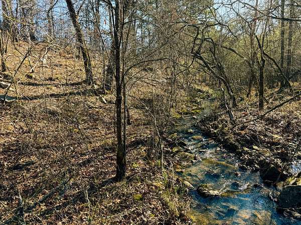 23 Acres of Recreational Land for Sale in Kiamichi, Oklahoma