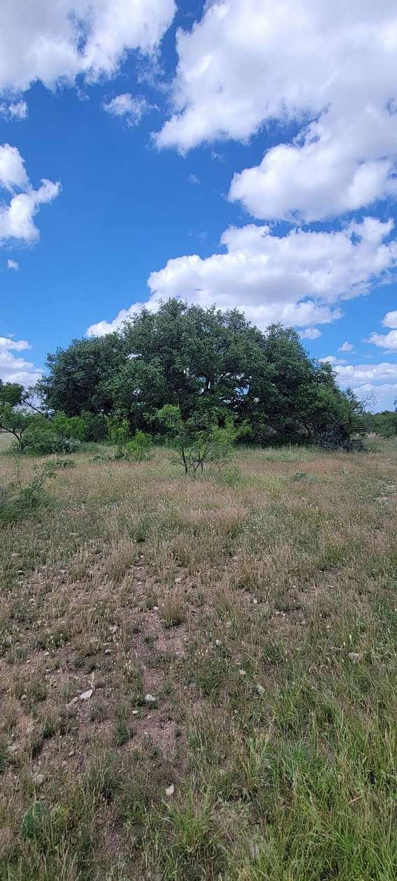 26.8 Acres of Land for Sale in Menard, Texas