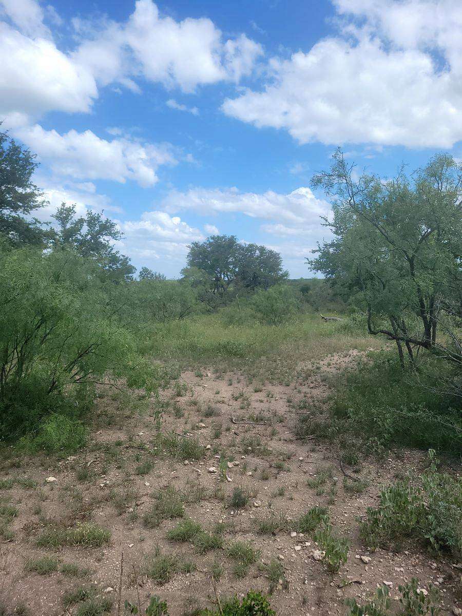 53.9 Acres of Land for Sale in Menard, Texas